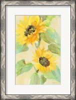 Framed Sunny Blooms