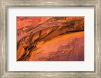 Framed Neon Canyon II