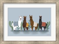 Framed Delightful Alpacas V