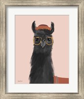 Framed Delightful Alpacas IV