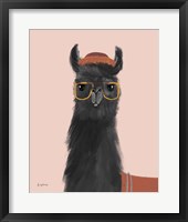 Delightful Alpacas IV Framed Print