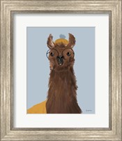 Framed Delightful Alpacas III