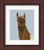 Framed Delightful Alpacas II