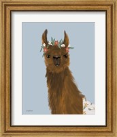 Framed 'Delightful Alpacas II' border=