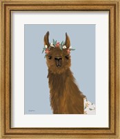 Framed 'Delightful Alpacas II' border=