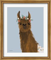 Framed Delightful Alpacas II