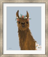 Framed Delightful Alpacas II
