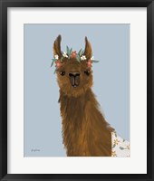 Framed 'Delightful Alpacas II' border=
