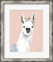 Framed 'Delightful Alpacas I' border=