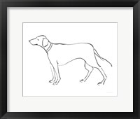 Framed Ink Dog VI