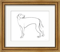 Framed Ink Dog V