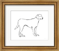 Framed Ink Dog I