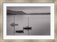 Framed Bellingham Bay BW