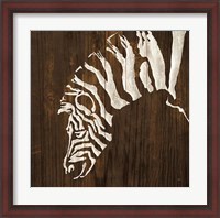 Framed White Zebra on Dark Wood