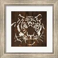 Framed White Tiger on Dark Wood