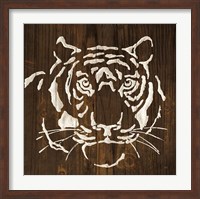 Framed White Tiger on Dark Wood
