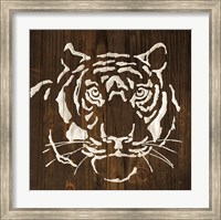 Framed White Tiger on Dark Wood