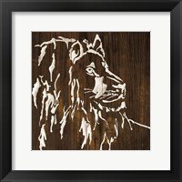 Framed White Lion on Dark Wood