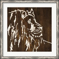 Framed White Lion on Dark Wood