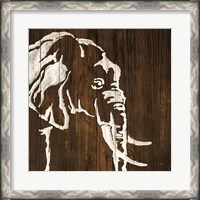 Framed White Elephant on Dark Wood