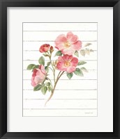 Sprigs of Summer II Framed Print