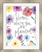 Framed Bloom Where You Are Planted