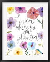 Framed Bloom Where You Are Planted