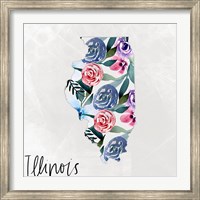 Framed Illinois