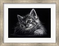 Framed Kitten