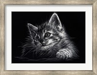 Framed Kitten