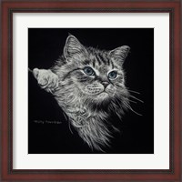 Framed Kitten II