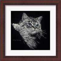 Framed Kitten II