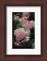 Framed Roses from Pat
