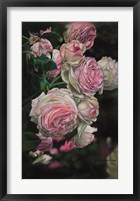 Framed Roses from Pat