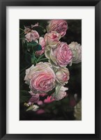 Framed Roses from Pat