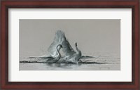 Framed Feathered Dance