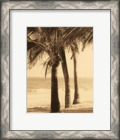 Framed Palm Beach II