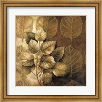 Framed Leaf Patterns III