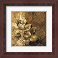 Framed Leaf Patterns III