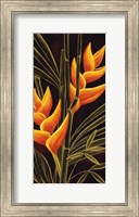 Framed Heliconia