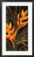 Framed Heliconia