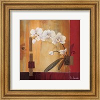 Framed Orchid Lines II