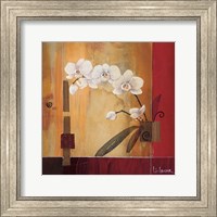 Framed Orchid Lines II