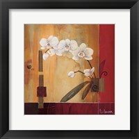 Orchid Lines II Framed Print