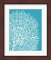 Framed Aqua Coral II