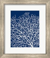 Framed Navy Coral I