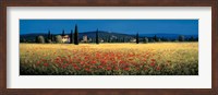 Framed Tuscan Panorama - Poppies