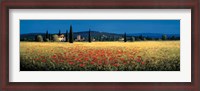 Framed Tuscan Panorama - Poppies