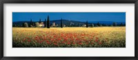 Framed Tuscan Panorama - Poppies