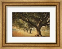 Framed Island Oak